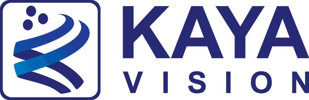 KAYA Vision — BoardTech customer